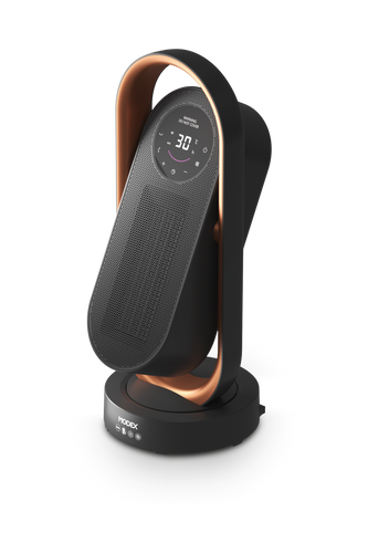 PTC6450 Ceramic Heater