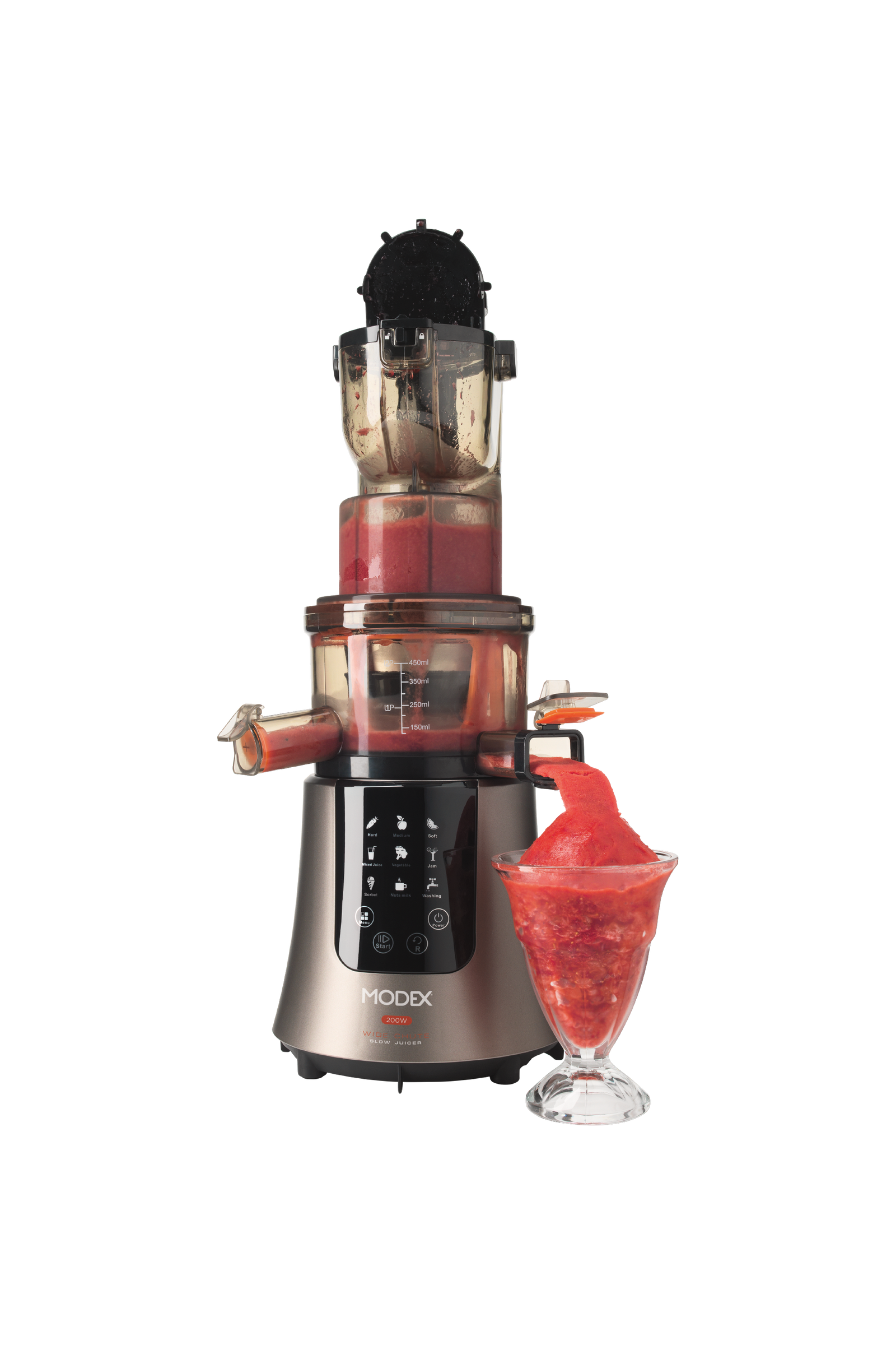 Sj595 Slow Juicer