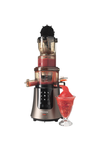 Sj595 Slow Juicer