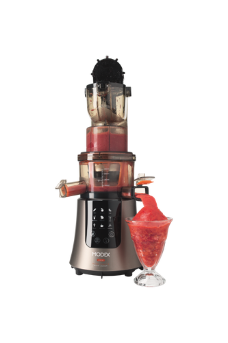 Sj595 Slow Juicer