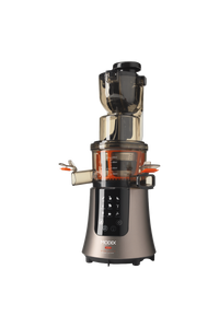Sj595 Slow Juicer