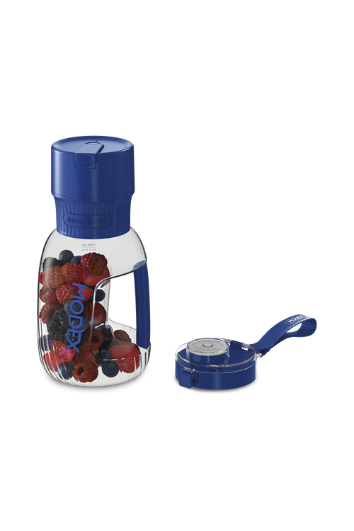 PB1100 Chargeable Blender