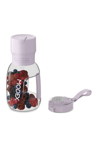 PB1100 Chargeable Blender
