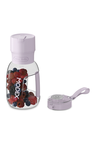 PB1100 Chargeable Blender